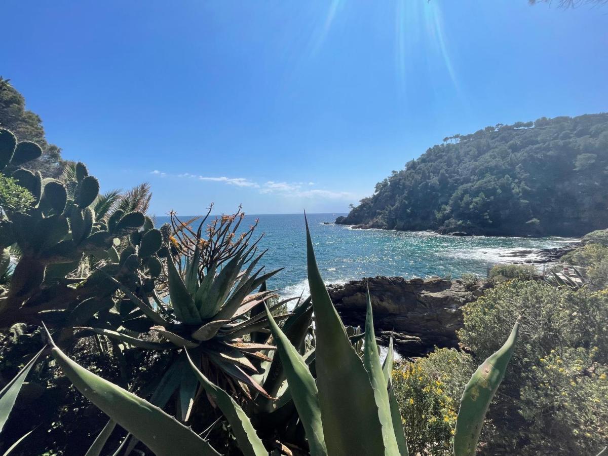 La Villa Cavalaire Eksteriør bilde