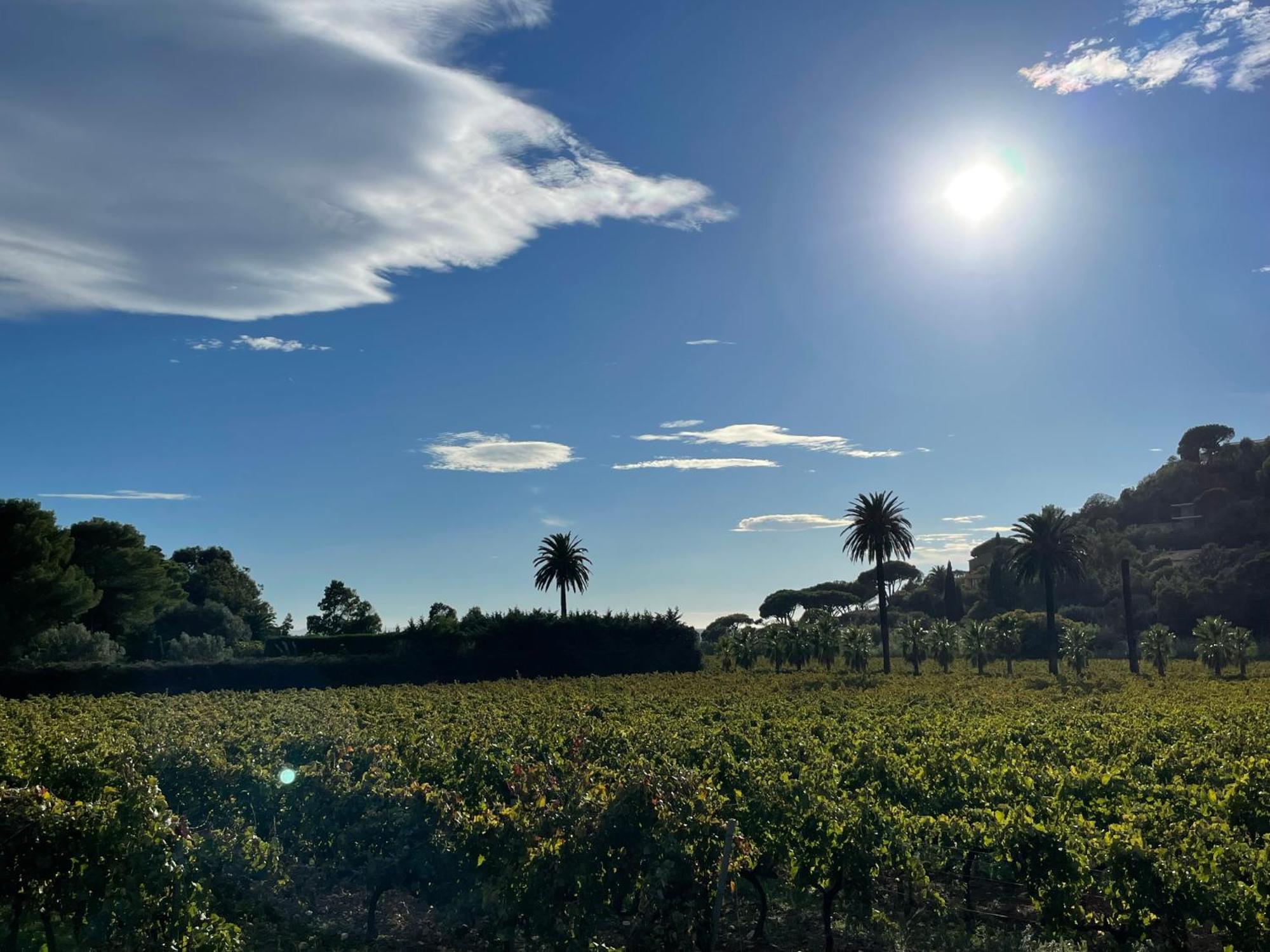 La Villa Cavalaire Eksteriør bilde